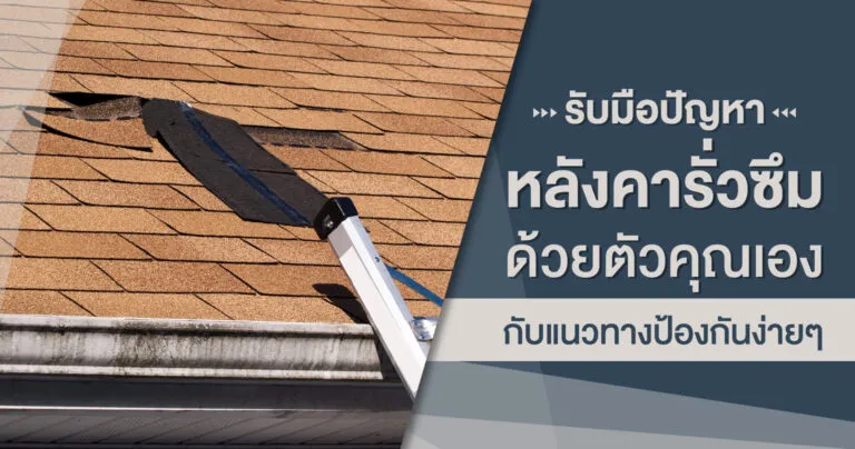 Cover_หลังคารั่วซึม