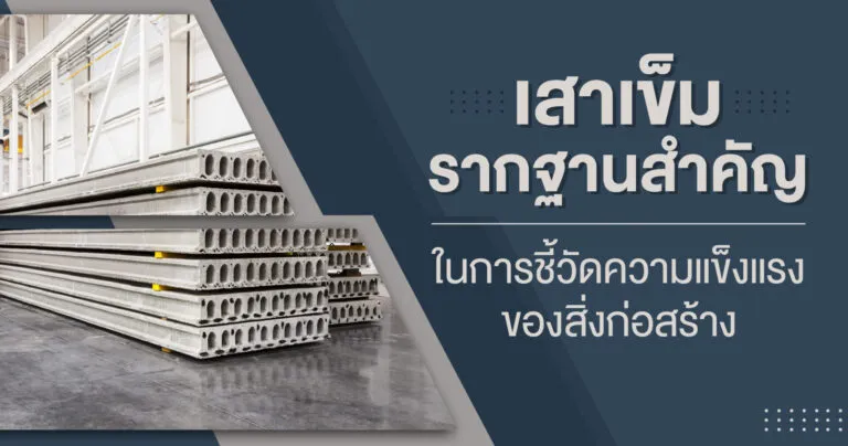 Cover_เสาเข็ม รากฐานสำคัญ-01 (1)