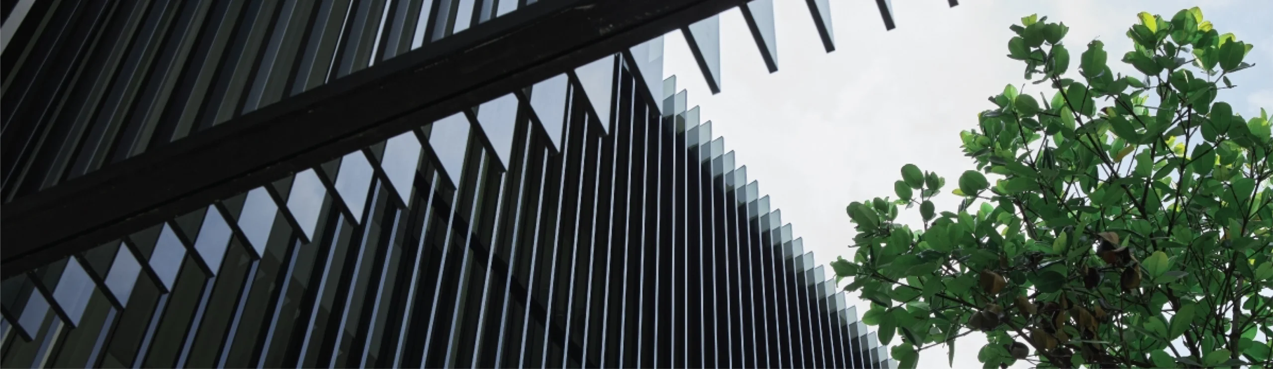 Shinkolite Fin & Shade Facade