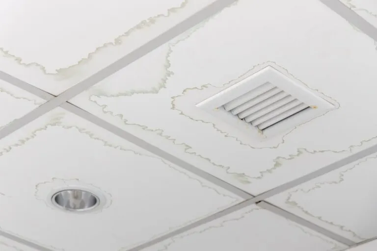 ceiling-panels-water-stain-house-pipes-1