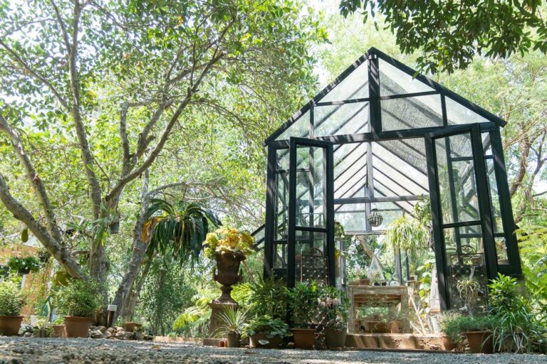 greenhouse-glasshouse-structure-which-plants-requiring-1